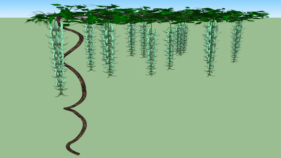 flor de jade "Strongylodon macrobotrys"