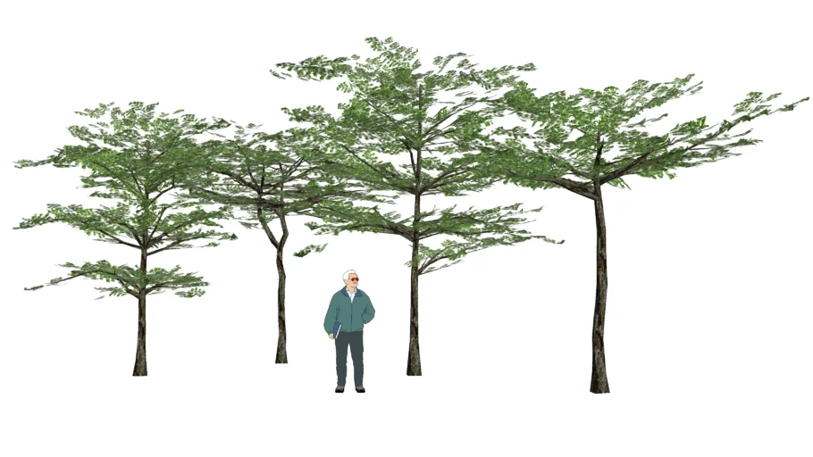 tree 3D ต้นหูกระจง