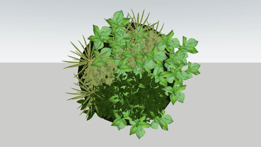 Round Moss Wall