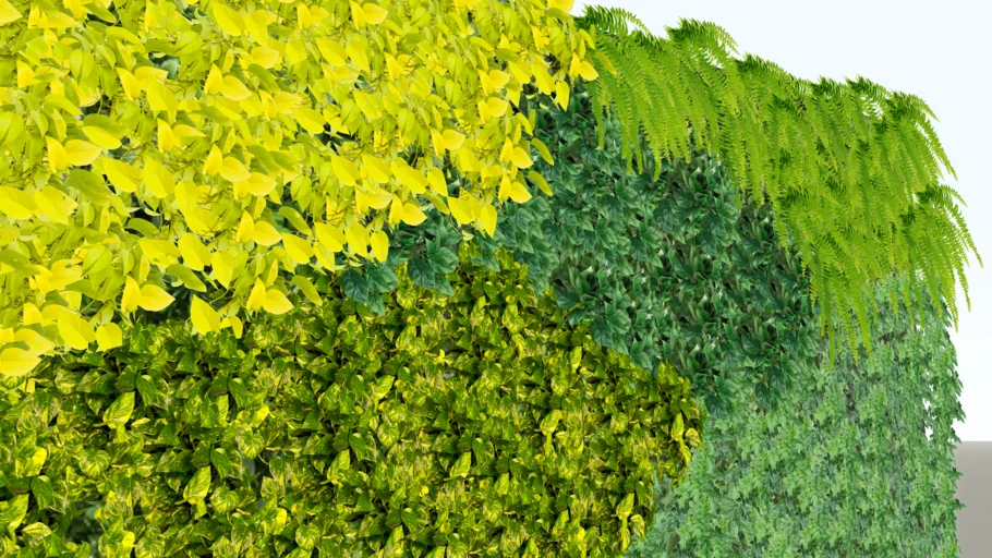 Vertical Garden