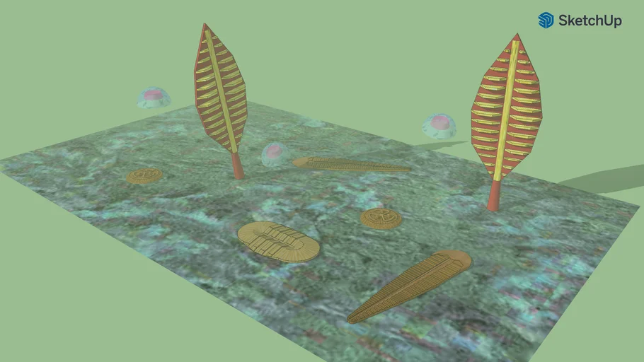 Ediacaran fauna