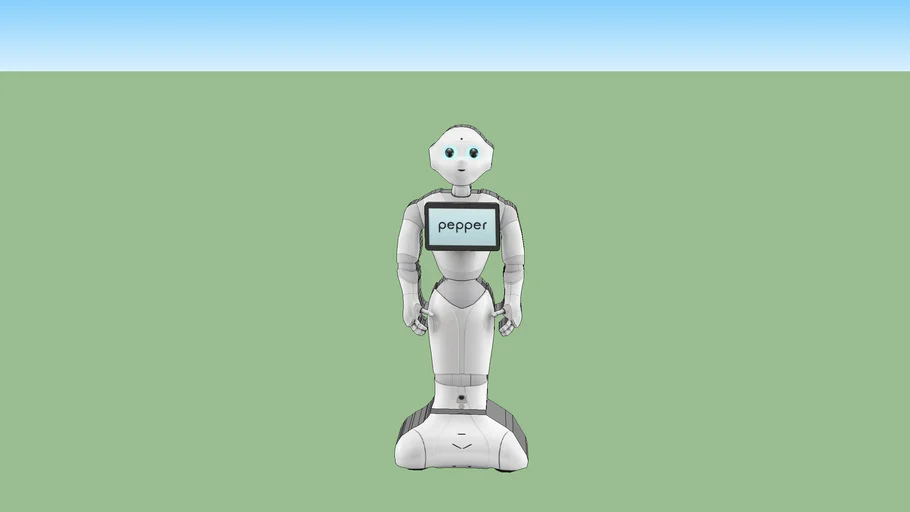 Greeting Robot