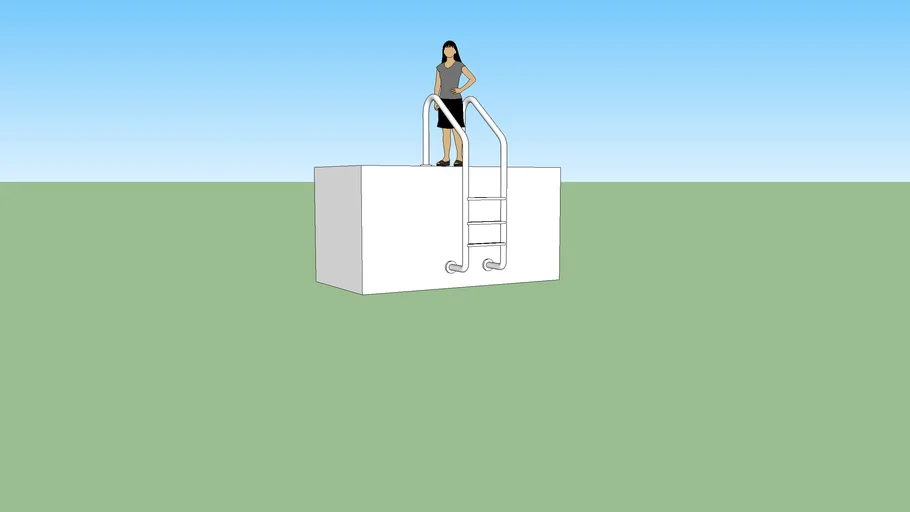 ladder for pool