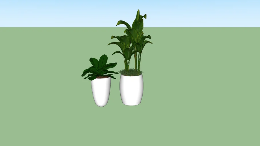 Vaso com Plantas