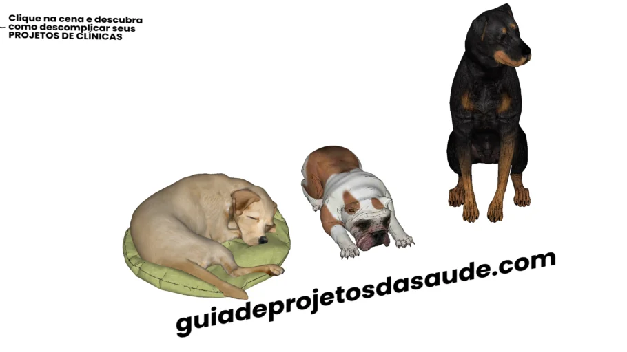CACHORROS