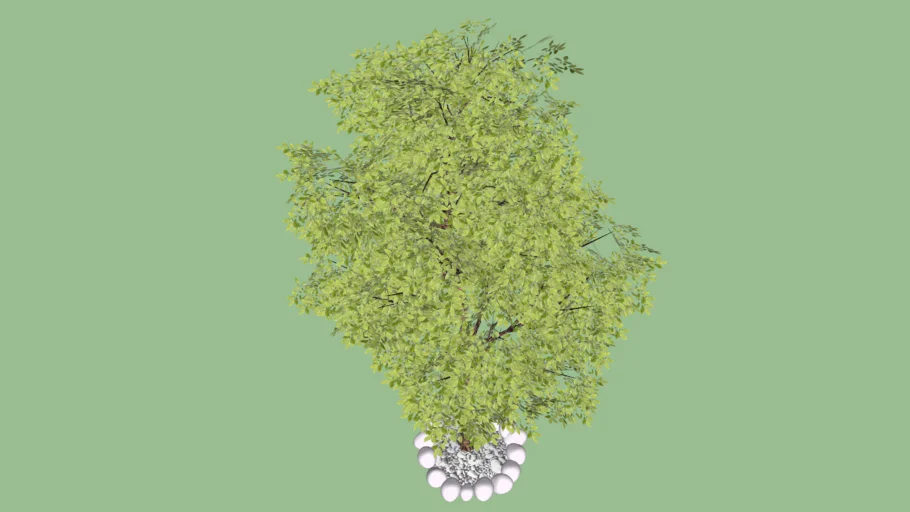 Arranjo Jardim 04