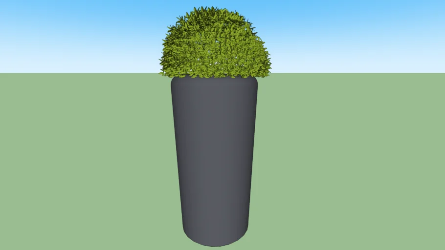 Plant and pot
