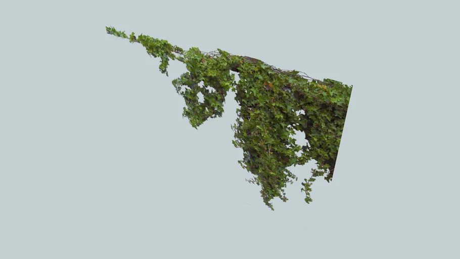 Creeper 2D