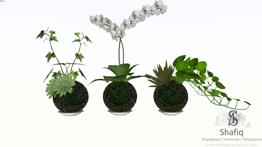 Yangi qizlar jinsiy aloqa