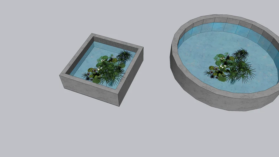 FISH POND