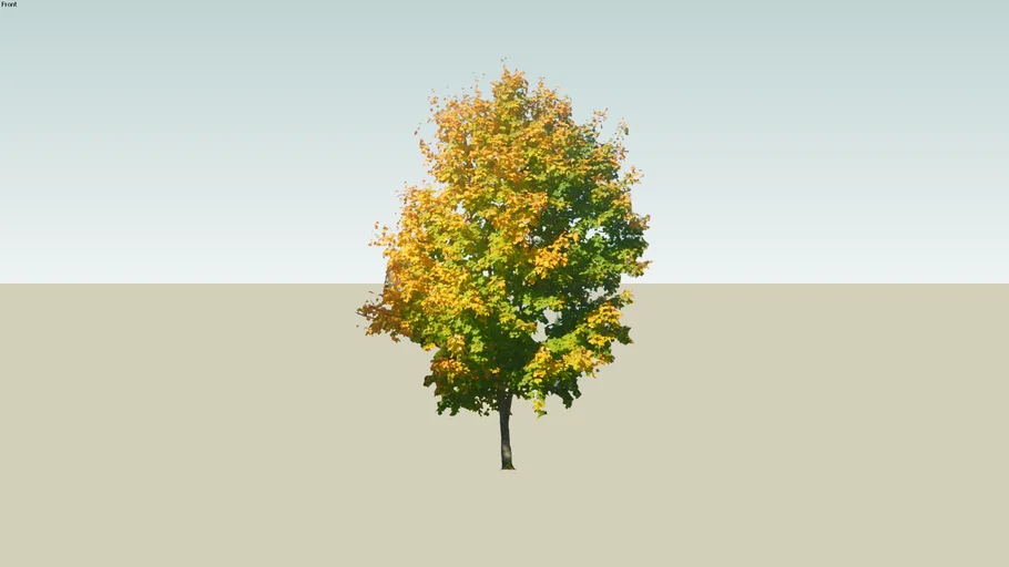 tree