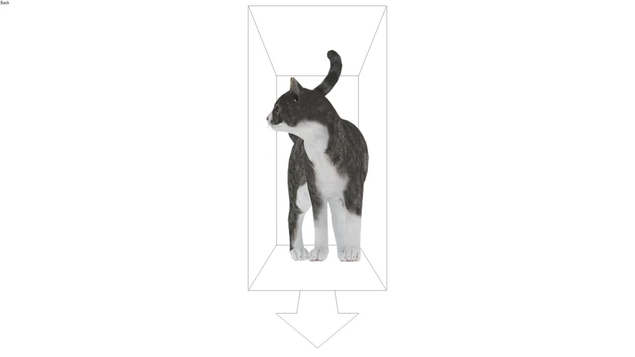 cat | 3D Warehouse