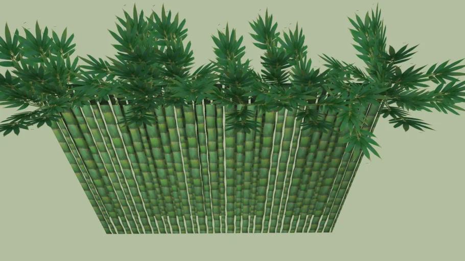 bamboo wall