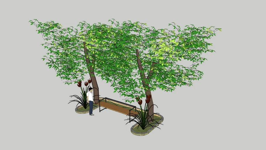 trees with a bench...