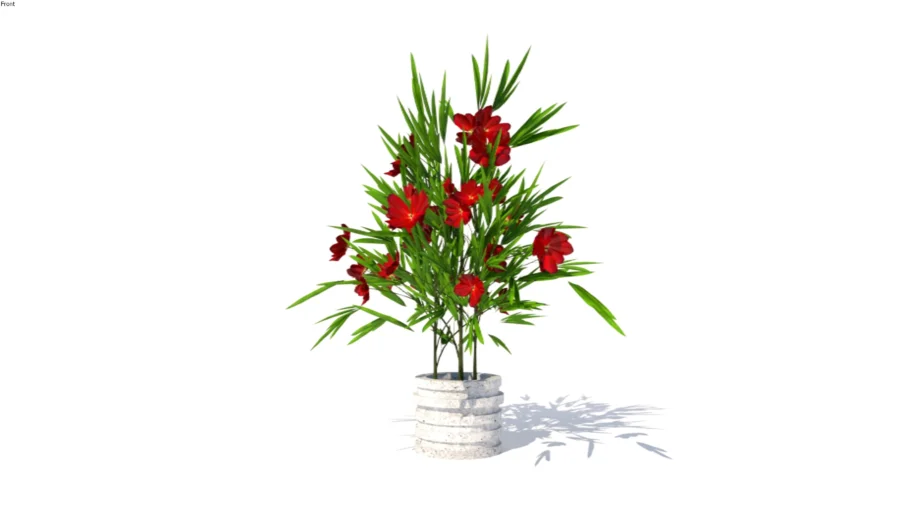 Indoor Plant 4 (Red)
