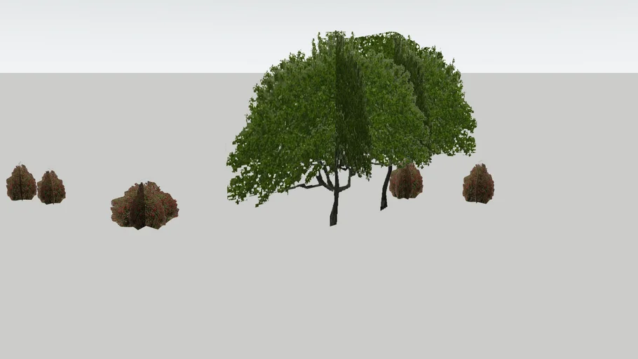 Fort Ross. Trees | 3D Warehouse
