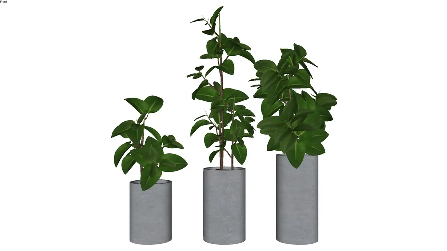Vaso com planta 07