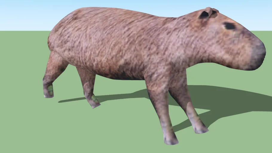 Capybara