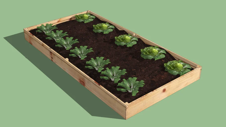 Horta em caixote/ Plant box