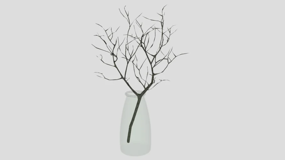 TABLE POTS PLANT