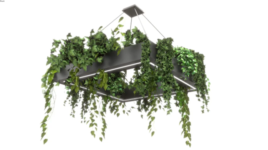 Lamp with plants