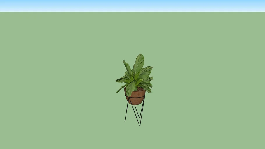 Vaso Planta
