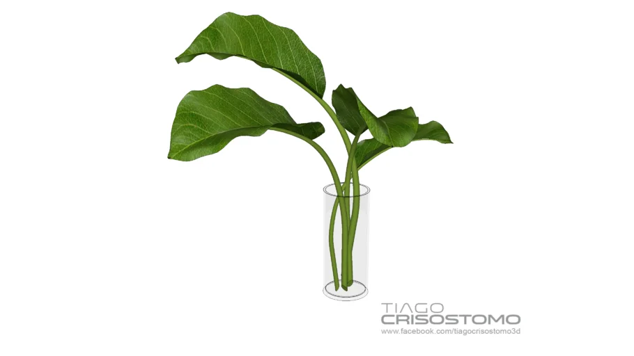 Vaso+vidro+planta.skp 
