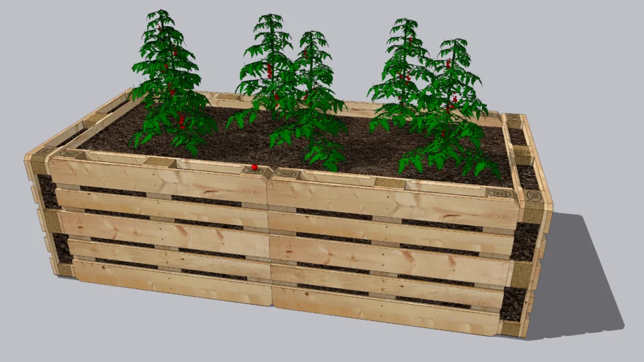 High bed tomato plant from pallet - magaságyás paradicsom raklap (Raised Garden Bed/Elevated Plant)