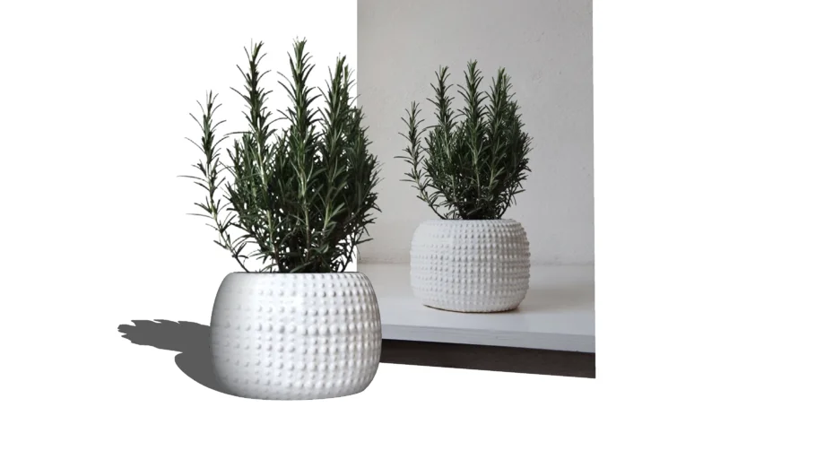 Plant pot 03