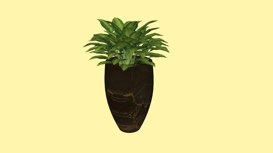 Vaso Grande