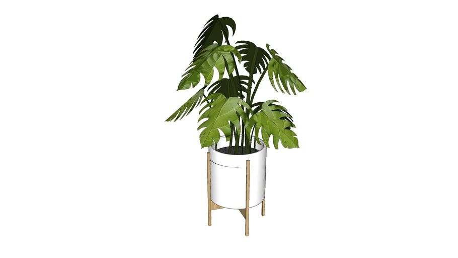 PLANT STAND MONSTERA | 3D Warehouse