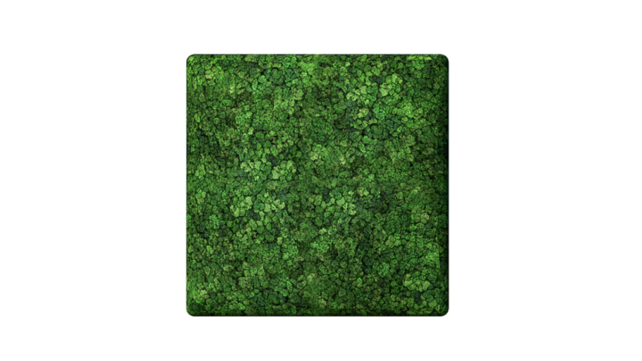 Convex Square Large
