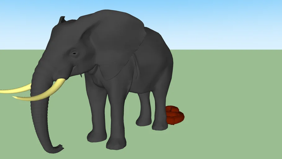 ELEPHANT POO!