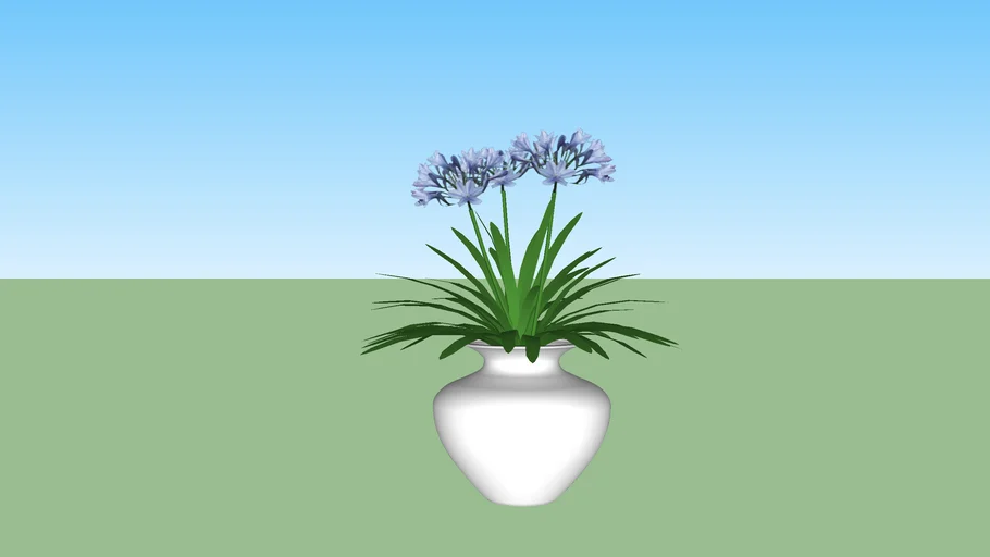 vase plant