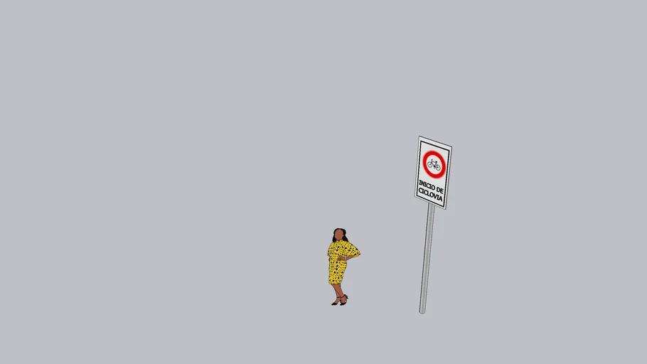 SEÑAL DE CICLOVIA