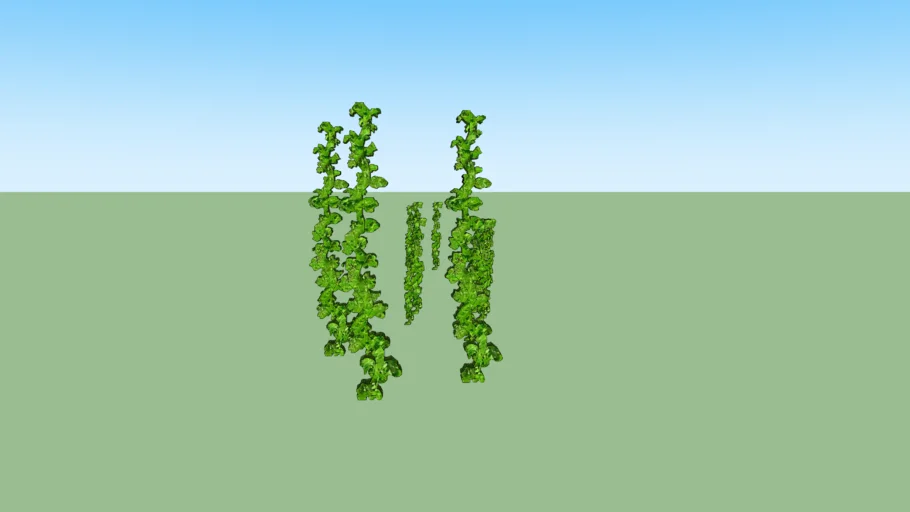Vines