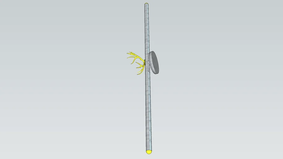 Wall Light