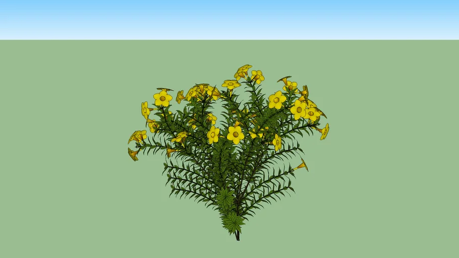 smg_Alamanda_Yellow