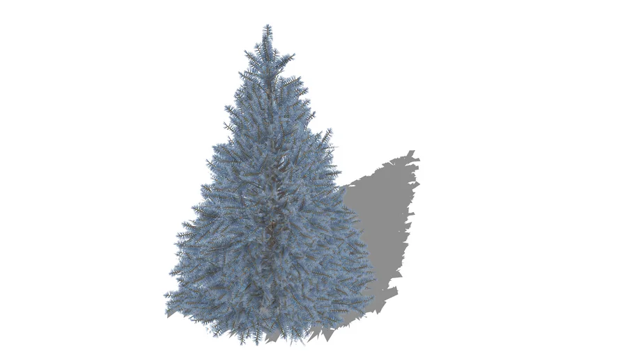 3D Landscape Plant - Blue Spruce Dwarf Picea Pungens Tree