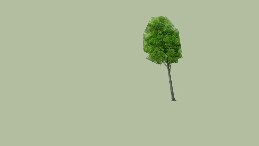 Arbre