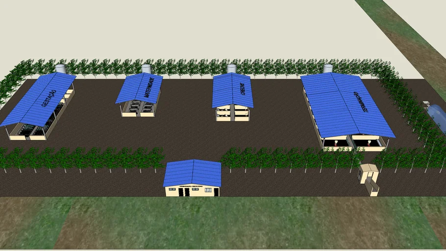 Granja de suinos
