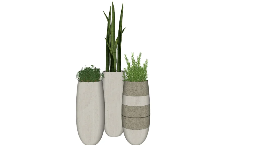 vasos planta