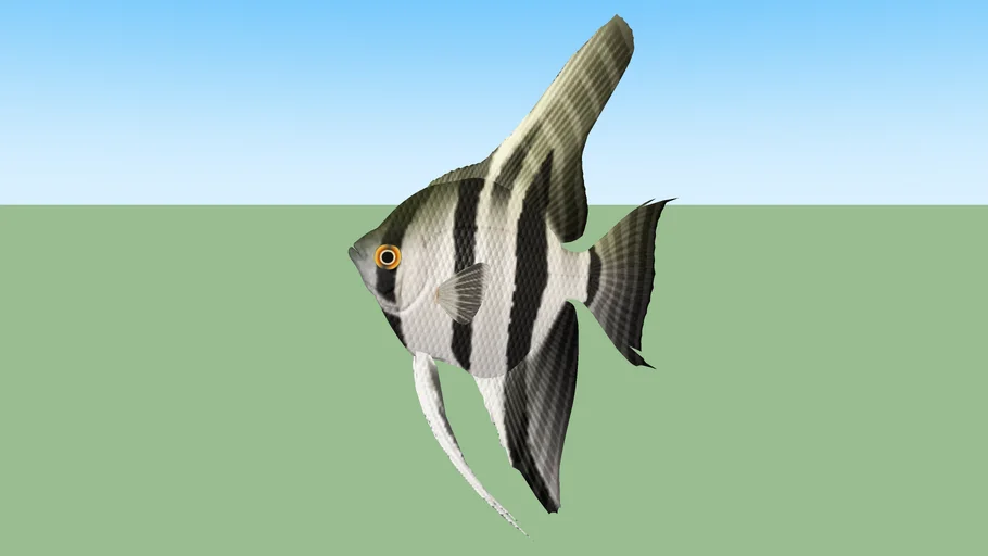Fish | 3D Warehouse