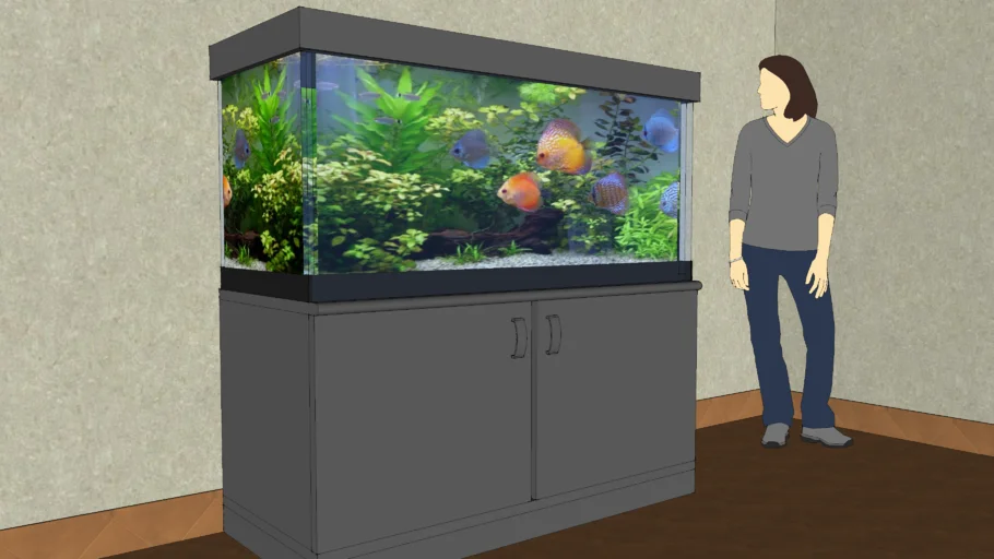 aquario,aquarium,