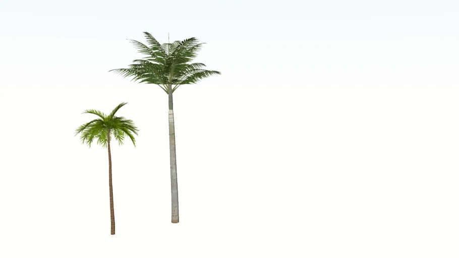 PALMERAS