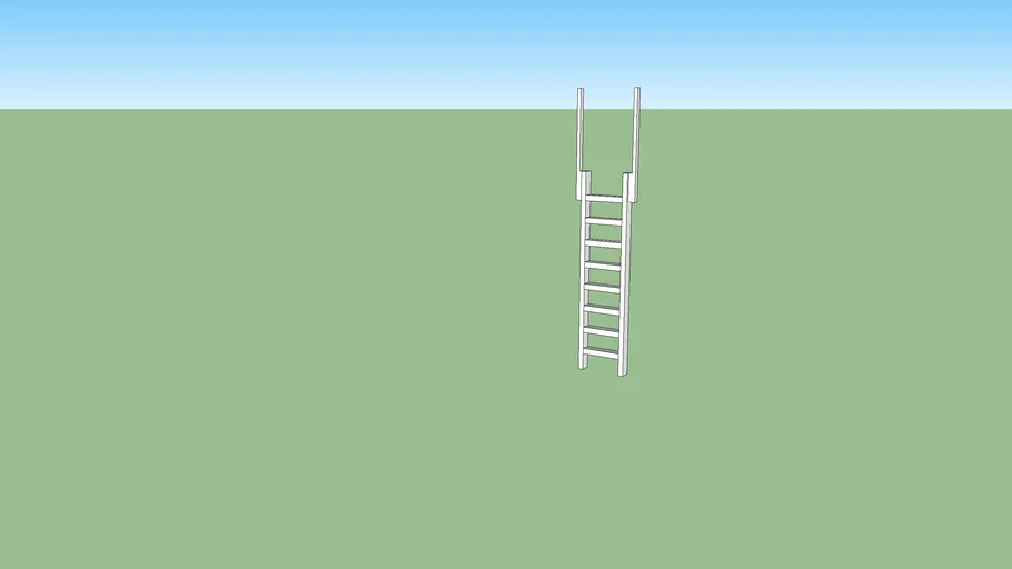 bunk house ladder