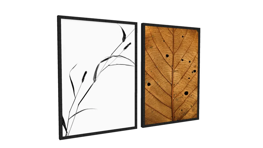 QUADROS DECORATIVOS - PLANTA, FOLHA, TEXTURA, DUPLA
