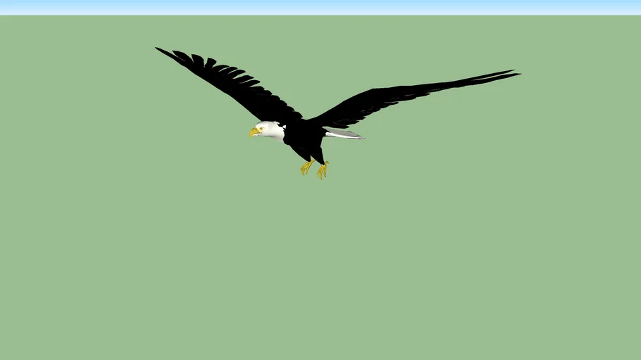 Bald Eagle2