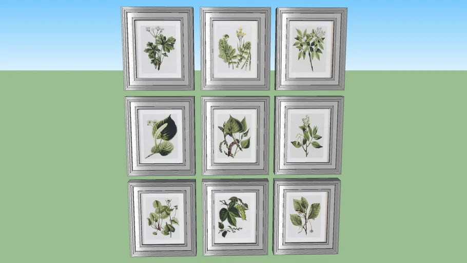 framed botanical prints