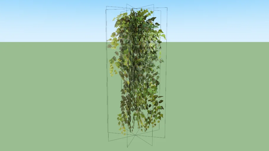HANGING PLANT